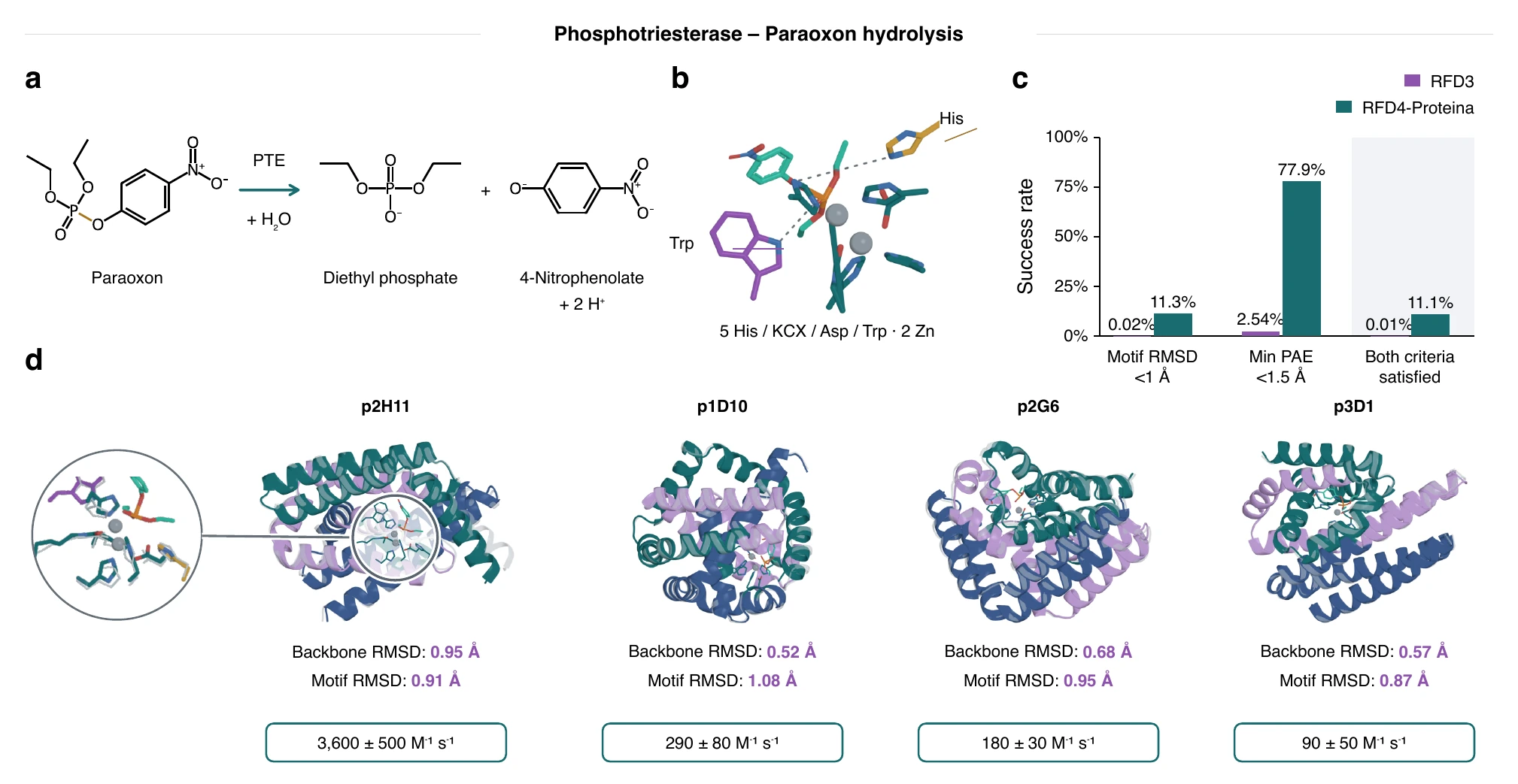 Phosphotriesterase design: reaction, active site, success rates and designs